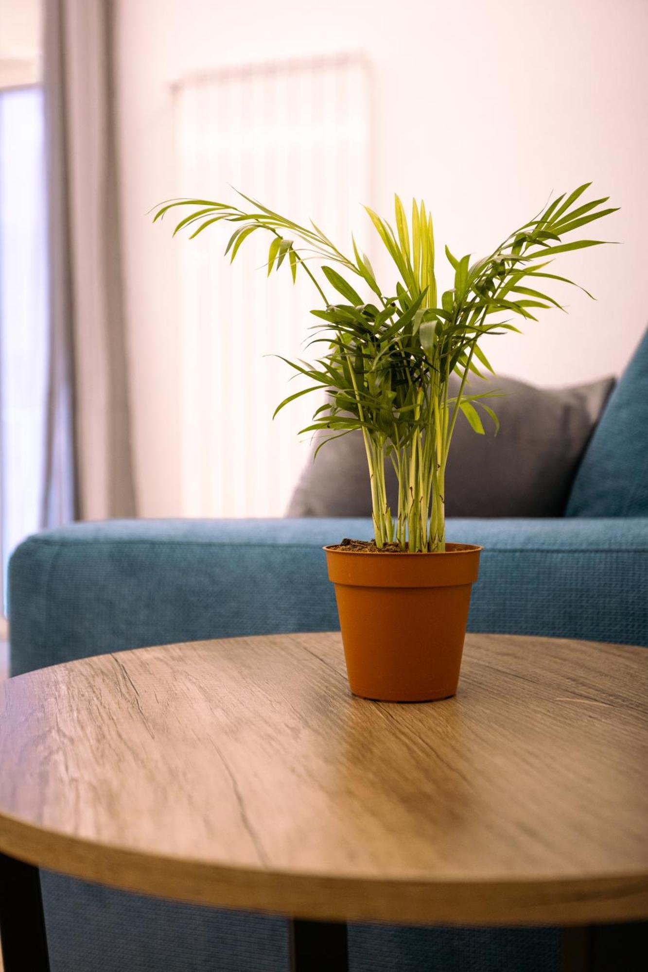 Song House Apartment Centro Storico 7 Pax 那不勒斯 外观 照片